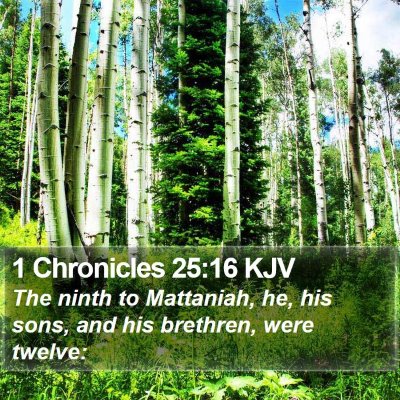1 Chronicles 25:16 KJV Bible Verse Image