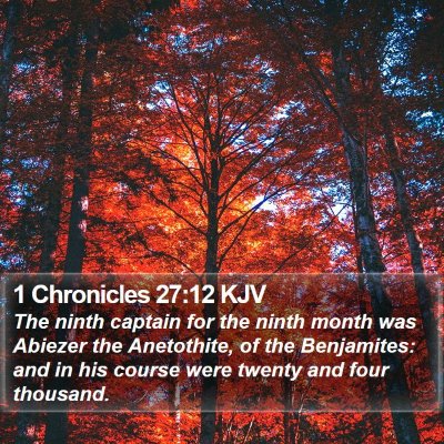 1 Chronicles 27:12 KJV Bible Verse Image