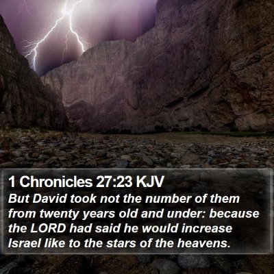 1 Chronicles 27:23 KJV Bible Verse Image