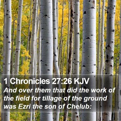 1 Chronicles 27:26 KJV Bible Verse Image