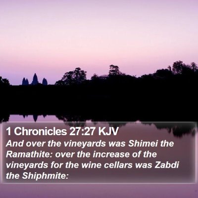 1 Chronicles 27:27 KJV Bible Verse Image