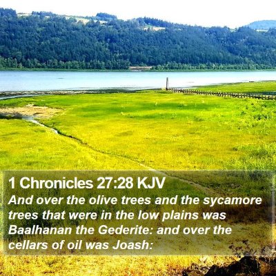1 Chronicles 27:28 KJV Bible Verse Image