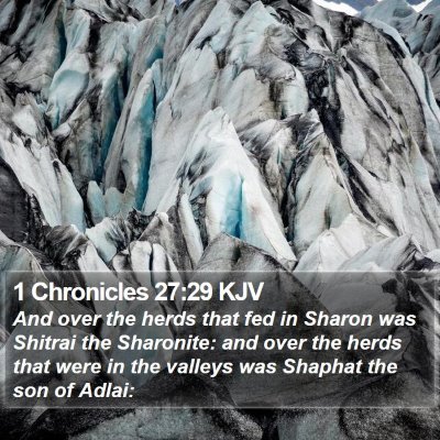 1 Chronicles 27:29 KJV Bible Verse Image