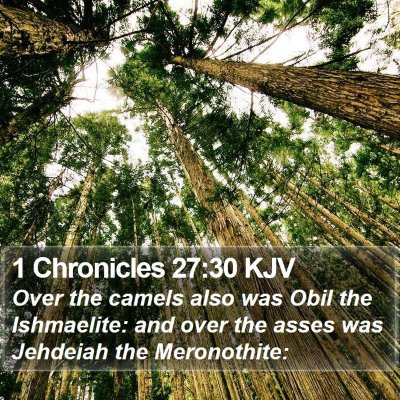 1 Chronicles 27:30 KJV Bible Verse Image