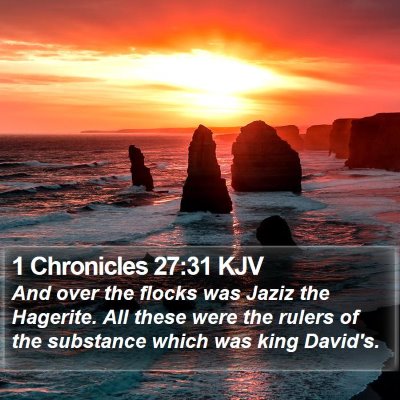1 Chronicles 27:31 KJV Bible Verse Image