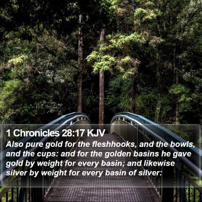 1 Chronicles 28:17 KJV Bible Verse Image