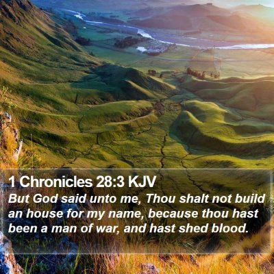 1 Chronicles 28:3 KJV Bible Verse Image