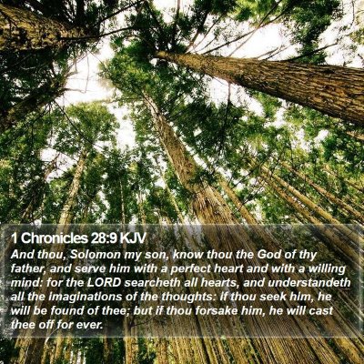 1 Chronicles 28:9 KJV Bible Verse Image