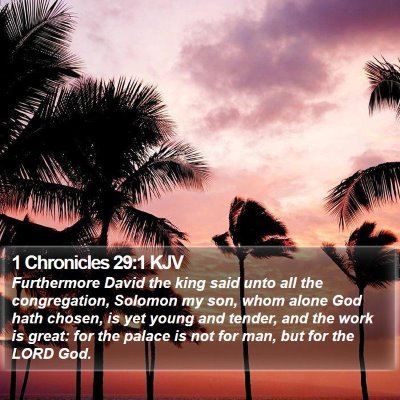 1 Chronicles 29:1 KJV Bible Verse Image