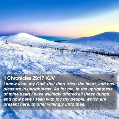1 Chronicles 29:17 KJV Bible Verse Image