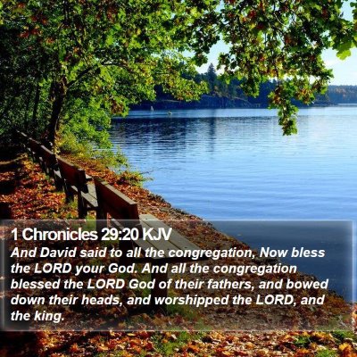 1 Chronicles 29:20 KJV Bible Verse Image