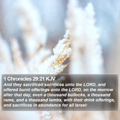 1 Chronicles 29:21 KJV Bible Verse Image