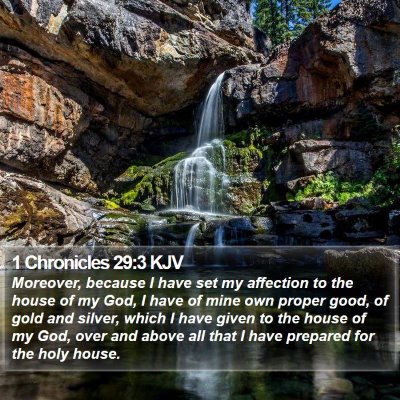 1 Chronicles 29:3 KJV Bible Verse Image
