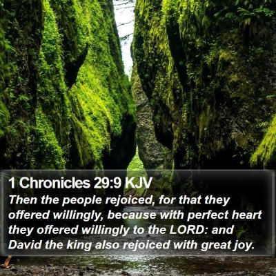 1 Chronicles 29:9 KJV Bible Verse Image