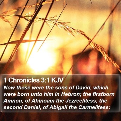 1 Chronicles 3:1 KJV Bible Verse Image