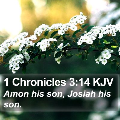 1 Chronicles 3:14 KJV Bible Verse Image