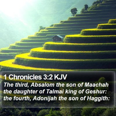 1 Chronicles 3:2 KJV Bible Verse Image