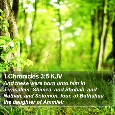 1 Chronicles 3:5 KJV Bible Verse Image