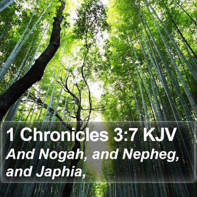 1 Chronicles 3:7 KJV Bible Verse Image