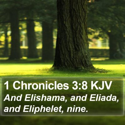 1 Chronicles 3:8 KJV Bible Verse Image