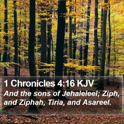 1 Chronicles 4:16 KJV Bible Verse Image