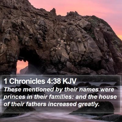 1 Chronicles 4:38 KJV Bible Verse Image