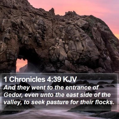 1 Chronicles 4:39 KJV Bible Verse Image