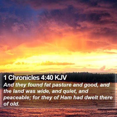 1 Chronicles 4:40 KJV Bible Verse Image