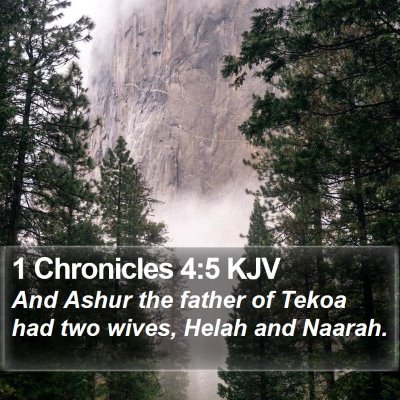 1 Chronicles 4:5 KJV Bible Verse Image