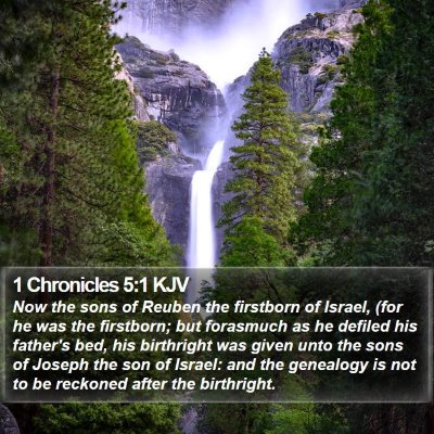 1 Chronicles 5:1 KJV Bible Verse Image
