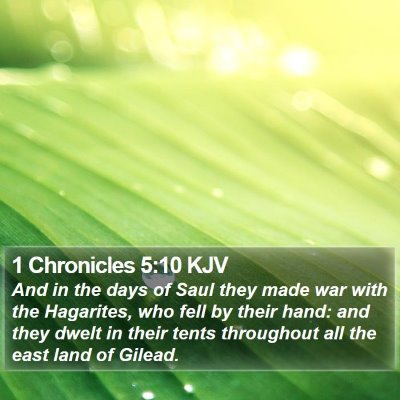 1 Chronicles 5:10 KJV Bible Verse Image