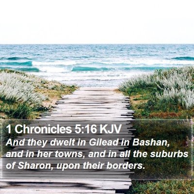1 Chronicles 5:16 KJV Bible Verse Image