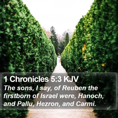 1 Chronicles 5:3 KJV Bible Verse Image