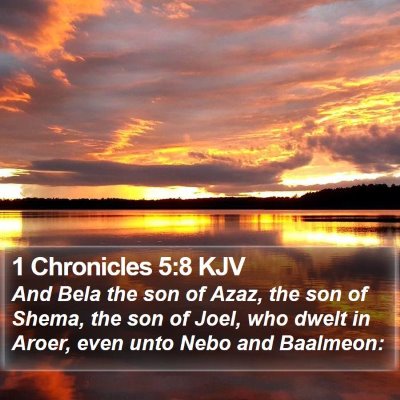 1 Chronicles 5:8 KJV Bible Verse Image