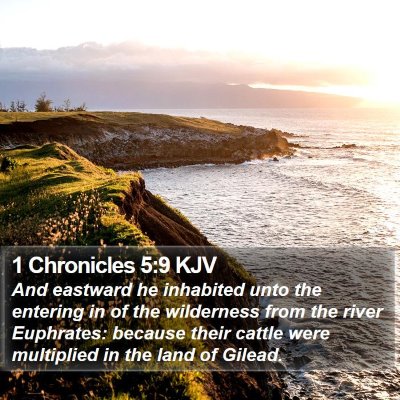 1 Chronicles 5:9 KJV Bible Verse Image