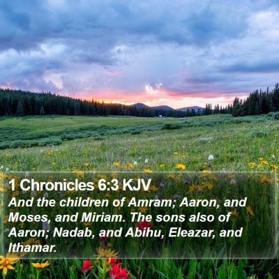 1 Chronicles 6:3 KJV Bible Verse Image