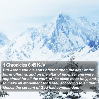 1 Chronicles 6:49 KJV Bible Verse Image