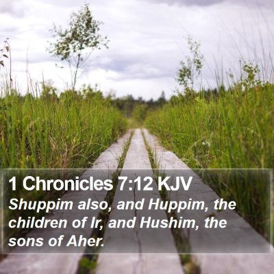 1 Chronicles 7:12 KJV Bible Verse Image