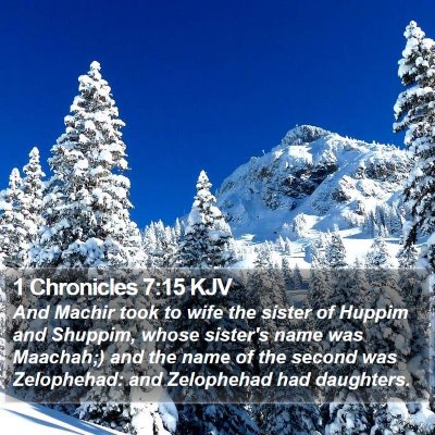 1 Chronicles 7:15 KJV Bible Verse Image