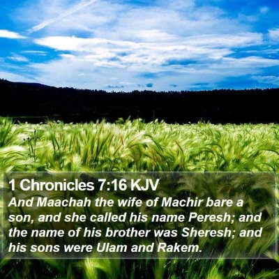 1 Chronicles 7:16 KJV Bible Verse Image