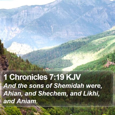 1 Chronicles 7:19 KJV Bible Verse Image