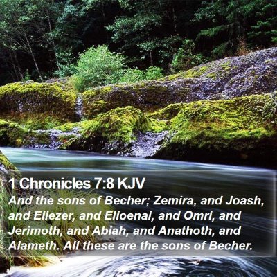 1 Chronicles 7:8 KJV Bible Verse Image