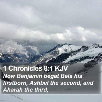 1 Chronicles 8:1 KJV Bible Verse Image