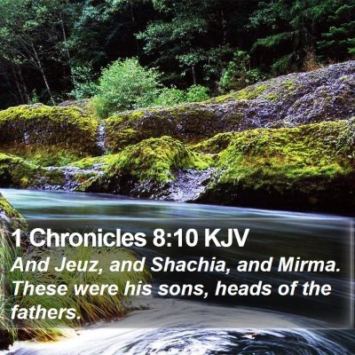 1 Chronicles 8:10 KJV Bible Verse Image
