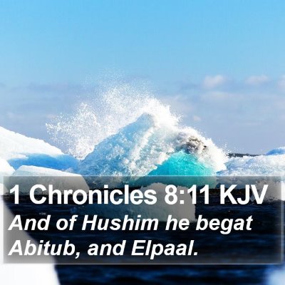 1 Chronicles 8:11 KJV Bible Verse Image