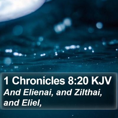 1 Chronicles 8:20 KJV Bible Verse Image