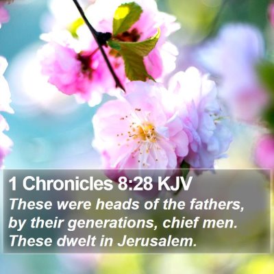 1 Chronicles 8:28 KJV Bible Verse Image