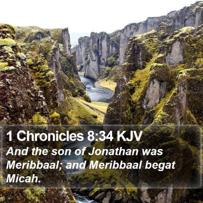 1 Chronicles 8:34 KJV Bible Verse Image