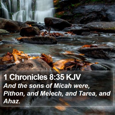 1 Chronicles 8:35 KJV Bible Verse Image