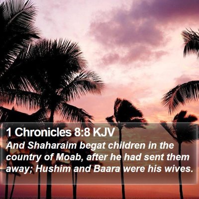 1 Chronicles 8:8 KJV Bible Verse Image